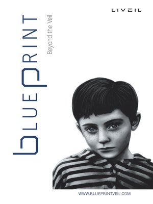 cover image of Blueprint